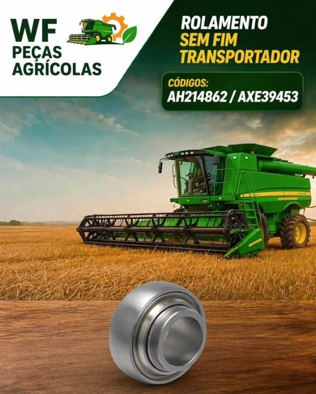Rolamento Sem Fim Transportador